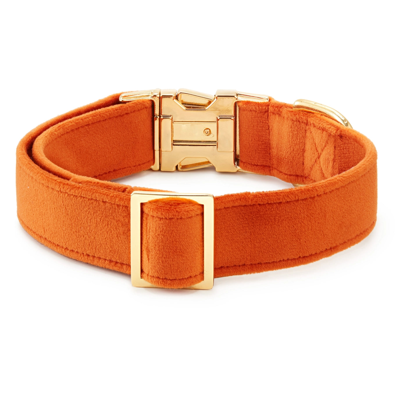 The Foggy Dog Velvet Collar