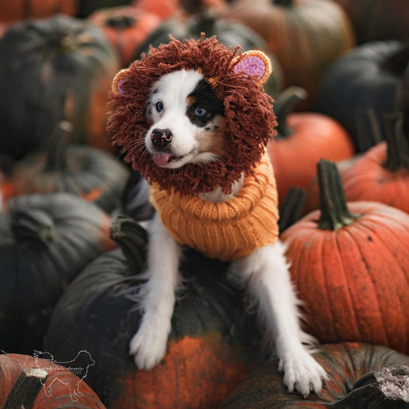 Lion Snood