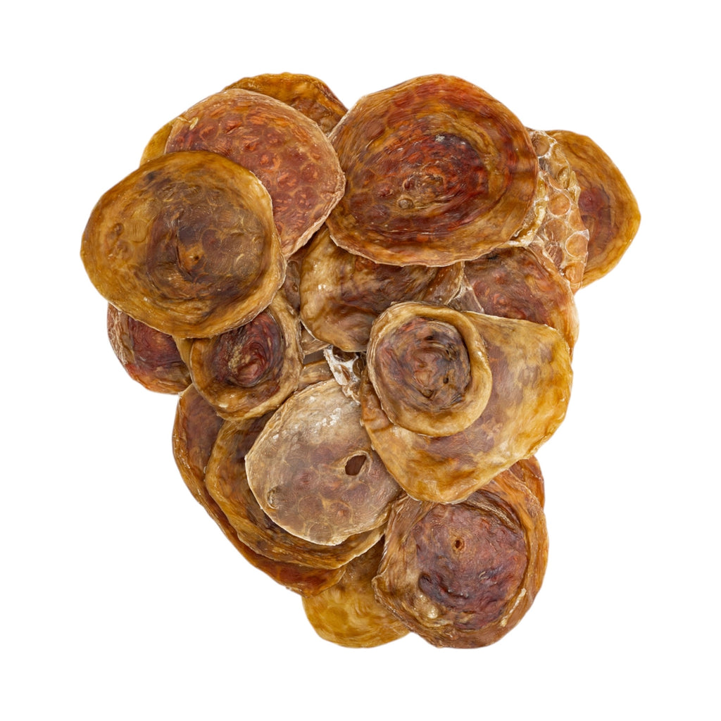 4" - 6" Beef Bladder Disc Dog Chew