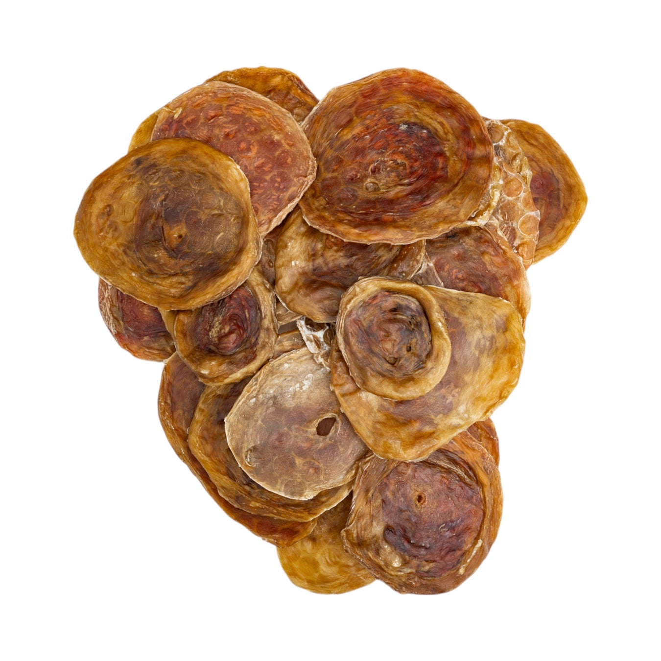 4" - 6" Beef Bladder Disc Dog Chew