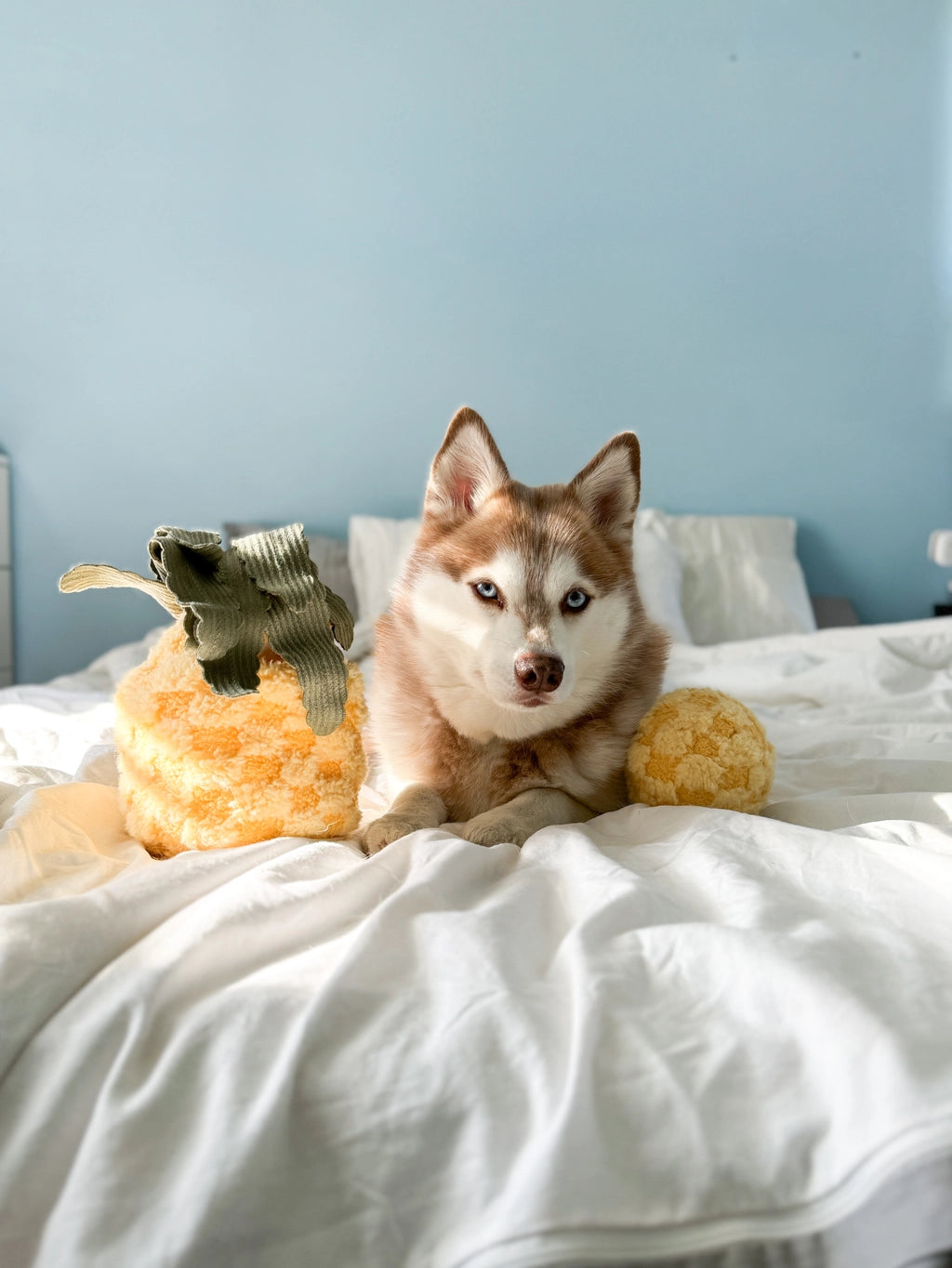 Lambwolf Collective Pineapple Enrichment Dog Toy