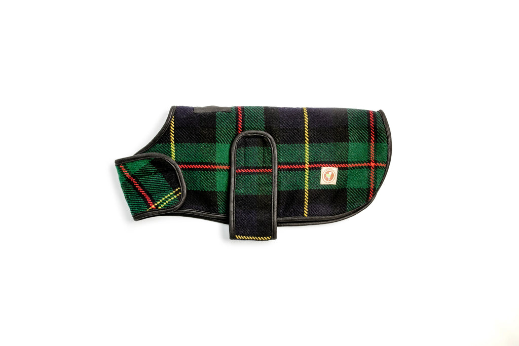 Chilly Dog Blanket Coat