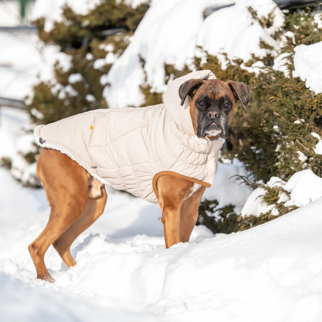 GF Pet Arctic Parka - Sand