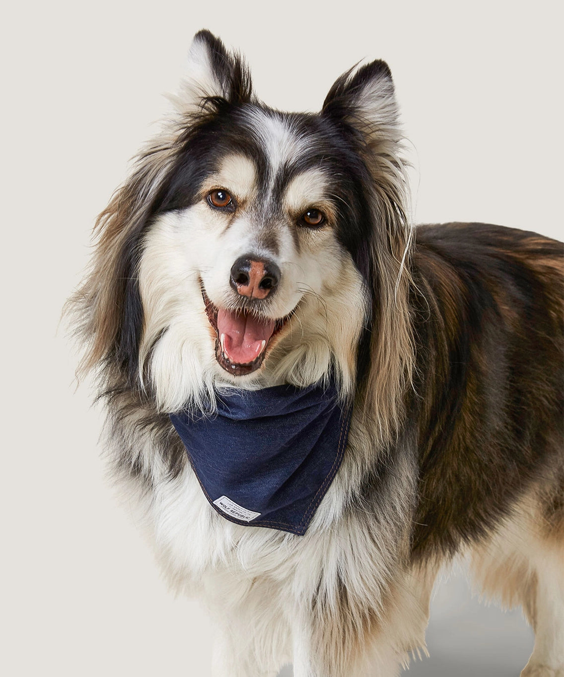 Wolf Republic Denim Bandana