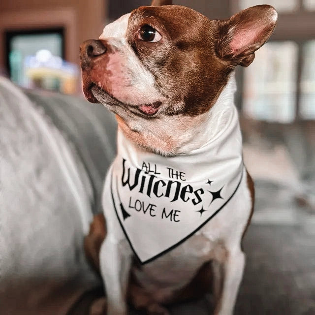 Boneyard Co "All the Witches" Dog Bandana