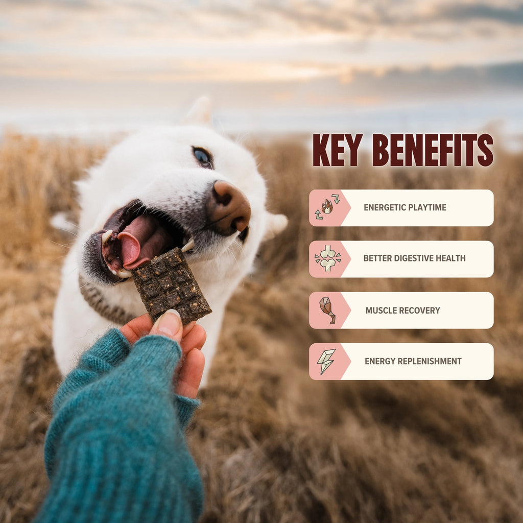 Ryōken Instinct Beef Mini Training Treats For Dogs