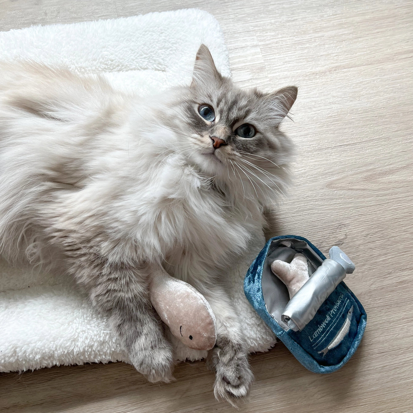 Lambwolf Collective Kitty Sardine Toy