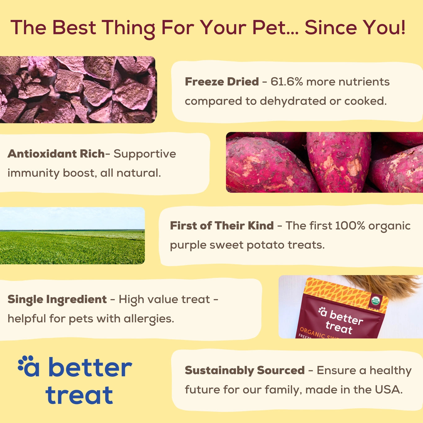 A Better Treat Freeze Dried Raw USDA Organic Purple Sweet Potato Dog and Cat Treats