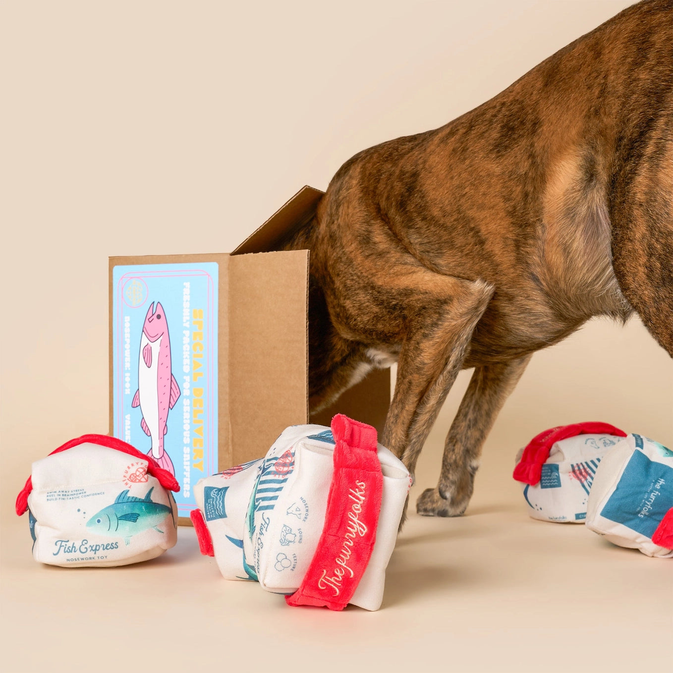 The Furryfolks Fish Express Nosework Toy