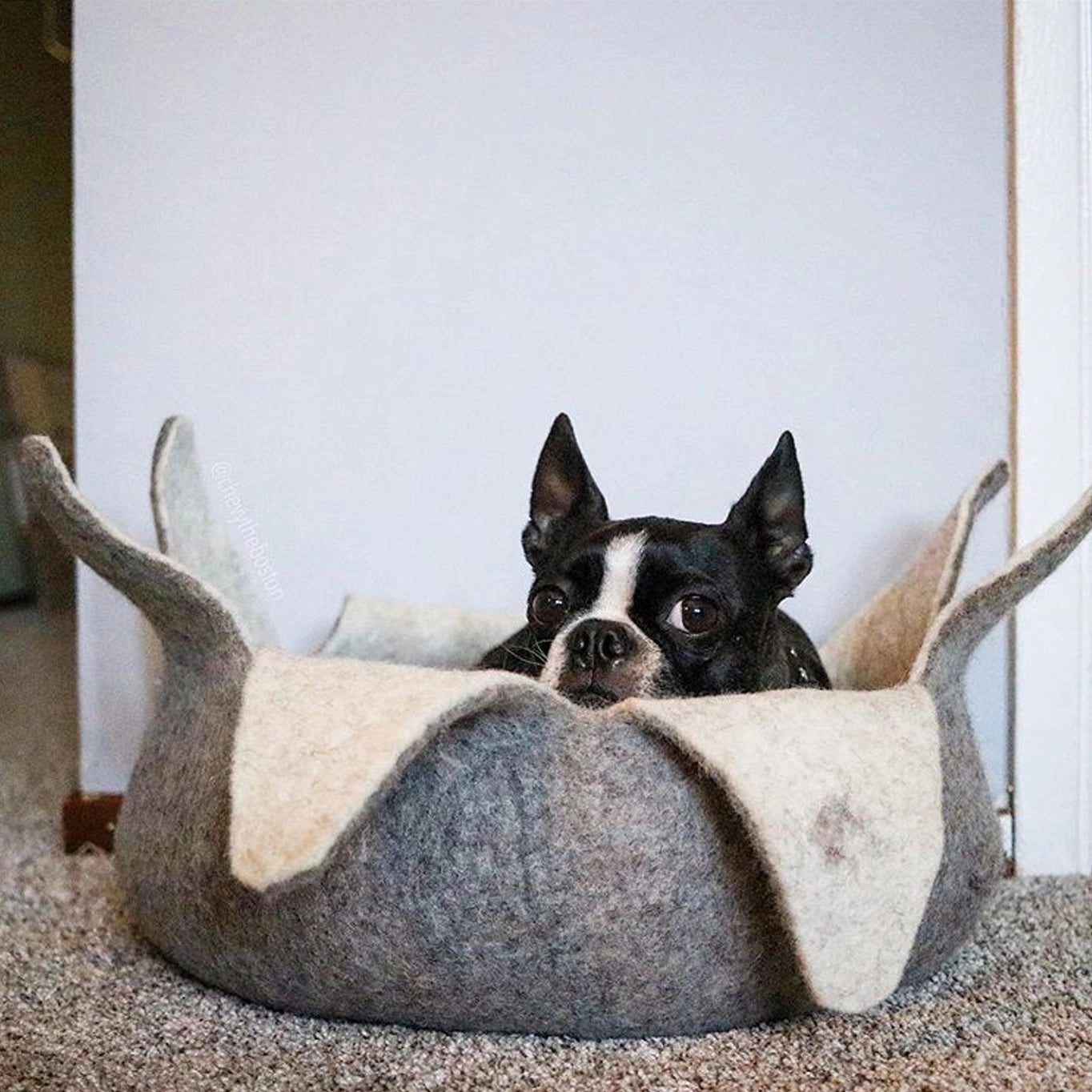 Karma Cat Natural Petal Wool Pet Basket