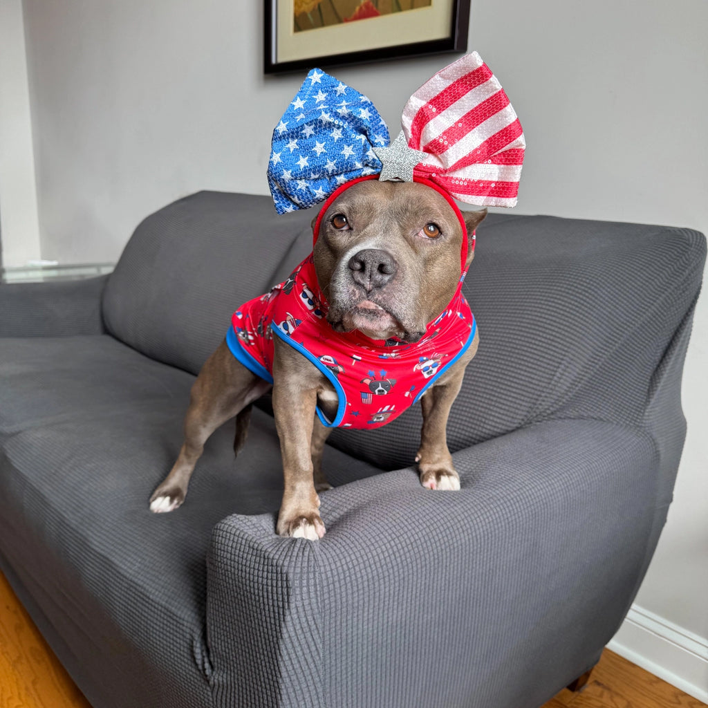 Pittie Clothing Co. Sploots & Sparklers Muscle Tee