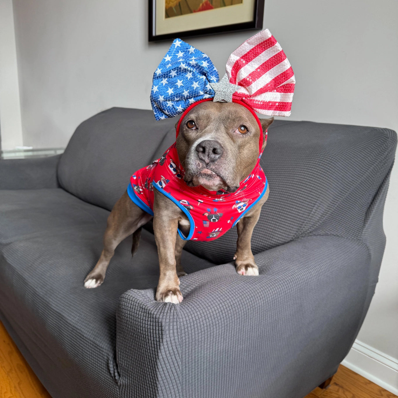 Pittie Clothing Co. Sploots & Sparklers Muscle Tee