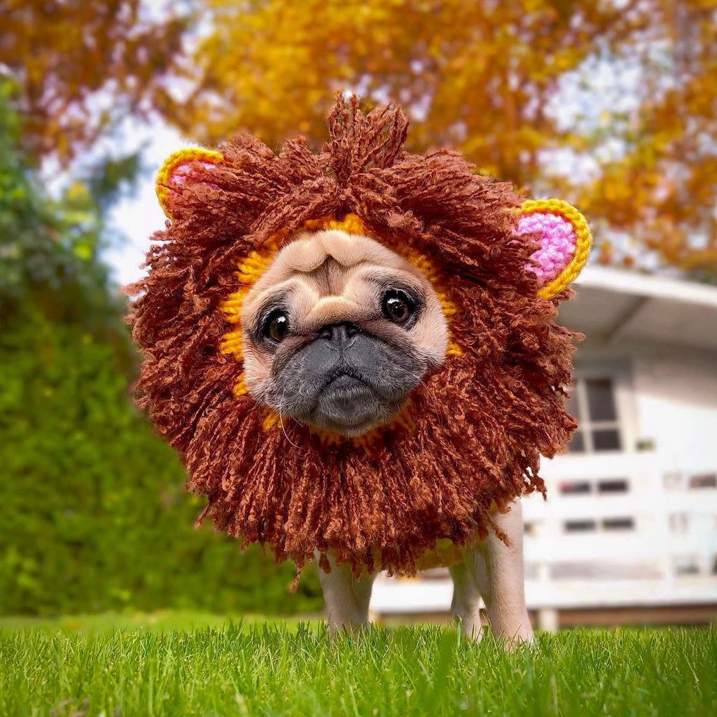 Lion Snood