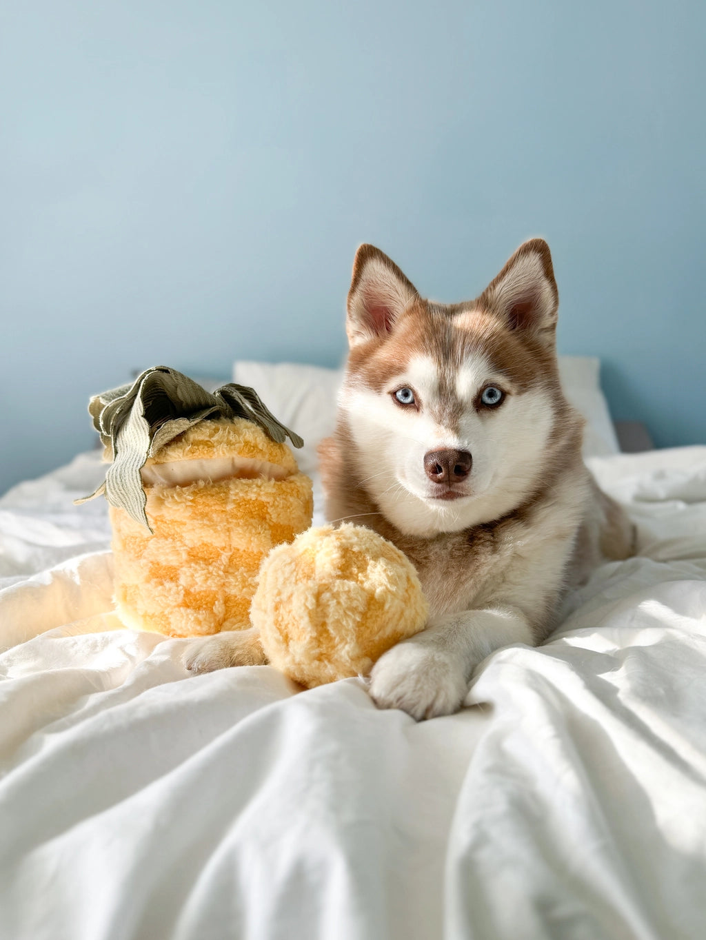 Lambwolf Collective Pineapple Enrichment Dog Toy