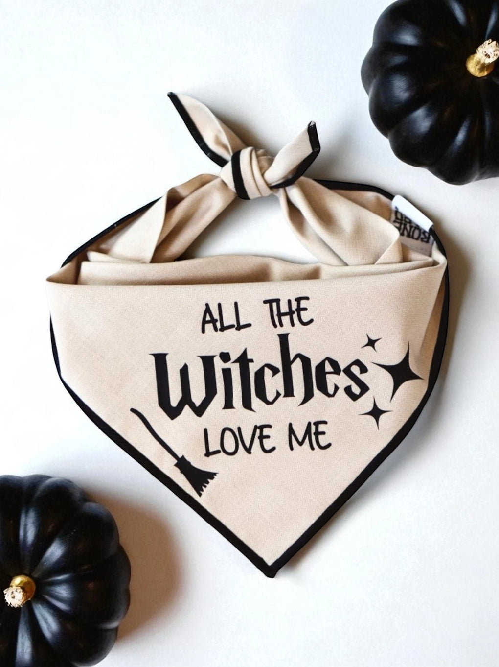 Boneyard Co "All the Witches" Dog Bandana