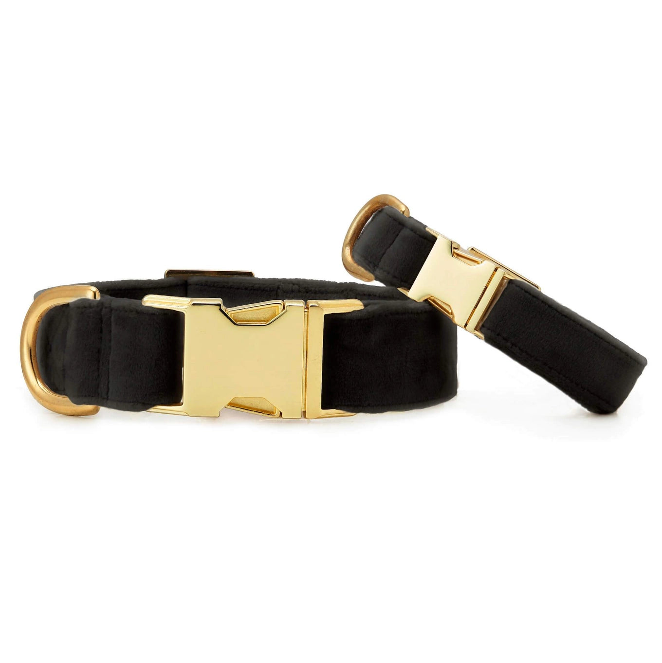 The Foggy Dog Velvet Collar