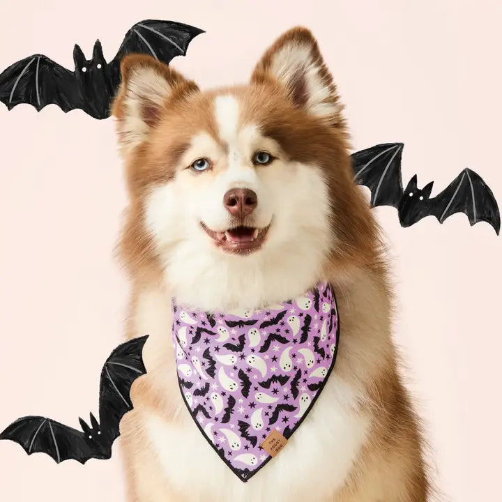 The Foggy Dog Spooky Season Reversible Dog Bandana