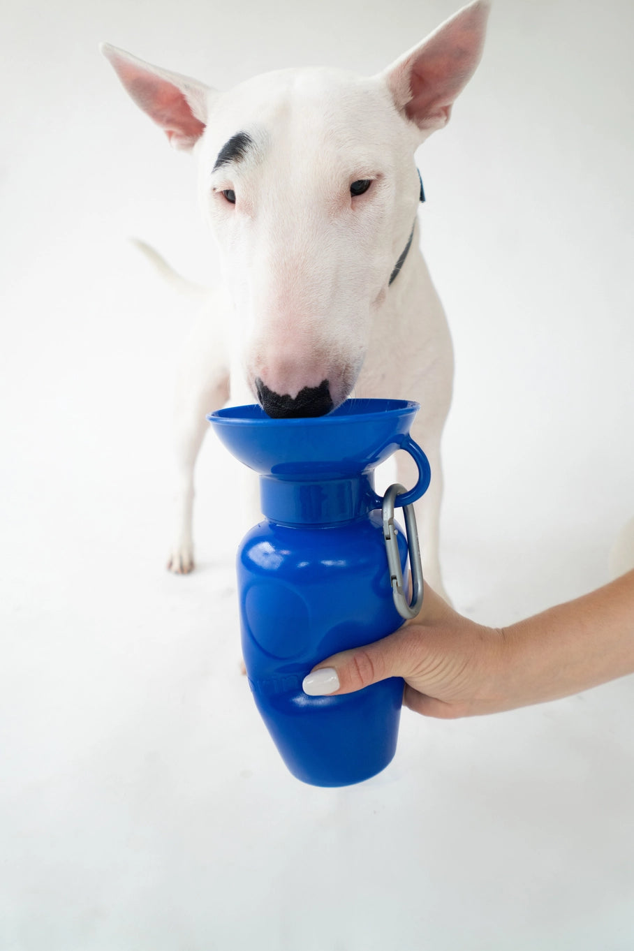 Springland Pets Dog Travel Water Bottle Bowl 22oz