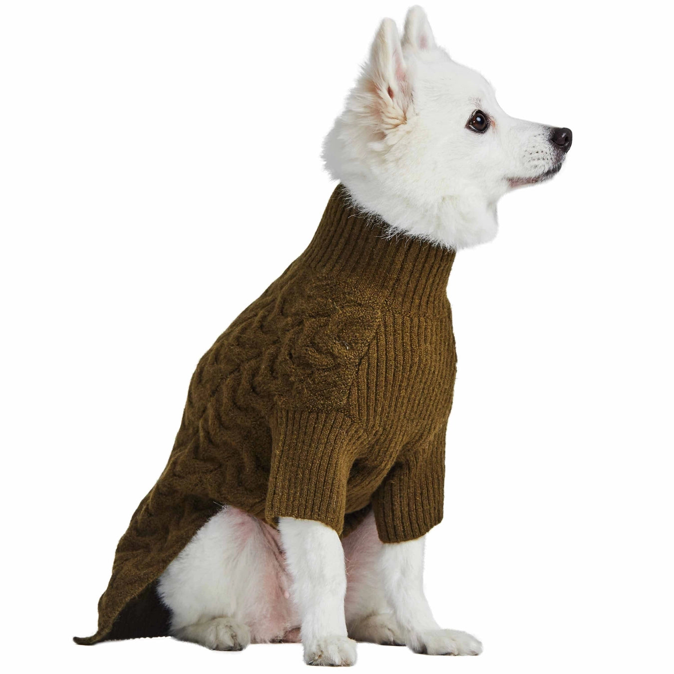 Fuzzy Textured Turtle Neck Knit Sweater