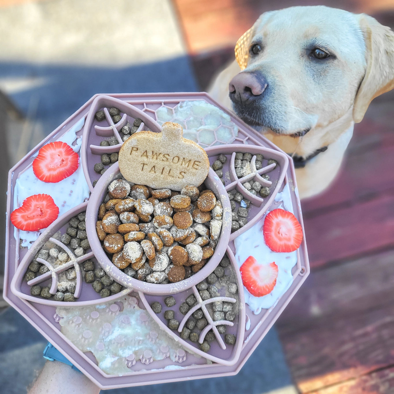 Boho Enrichment Feeder