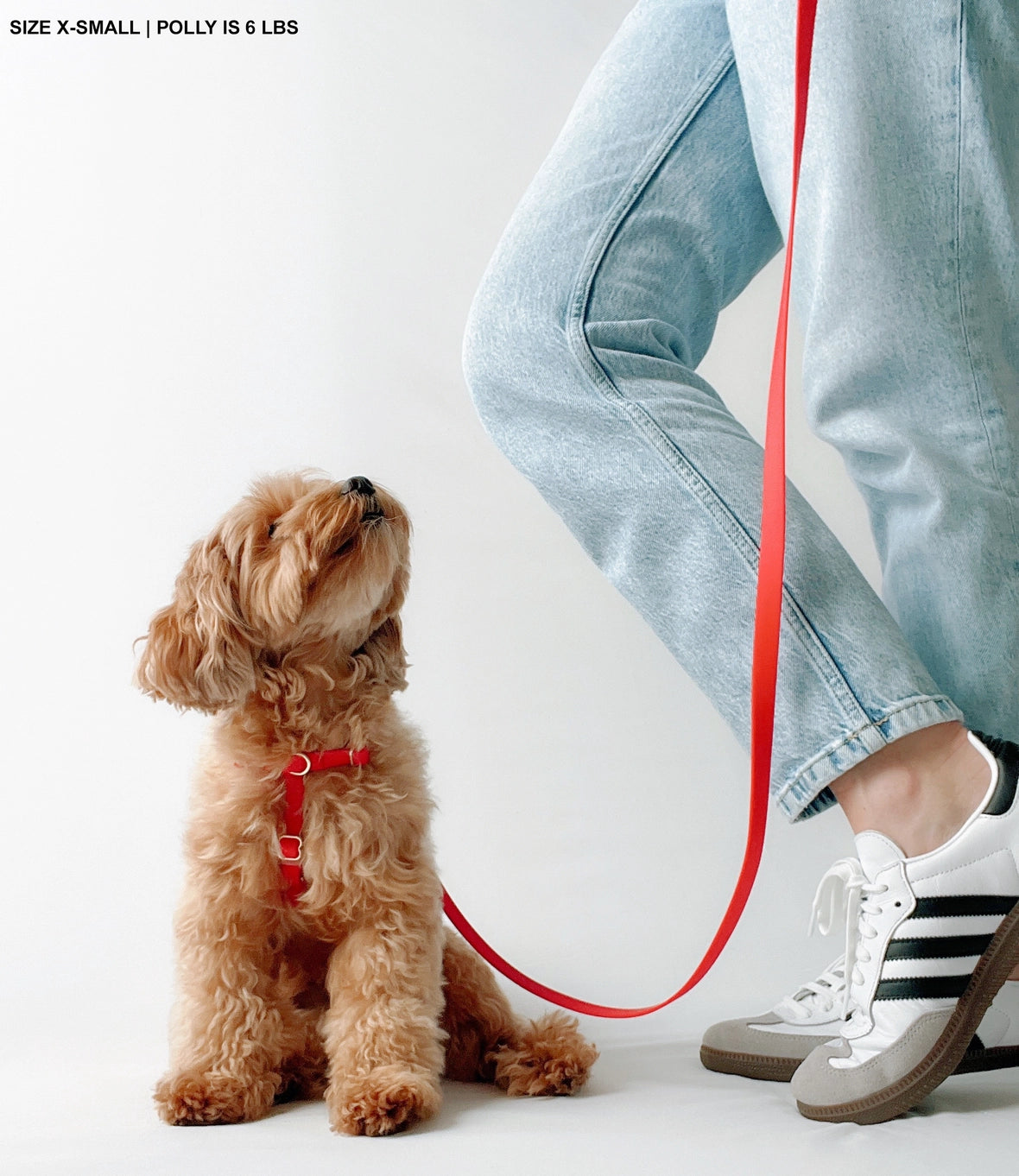 Sunny Tails Cloud Lite Harness