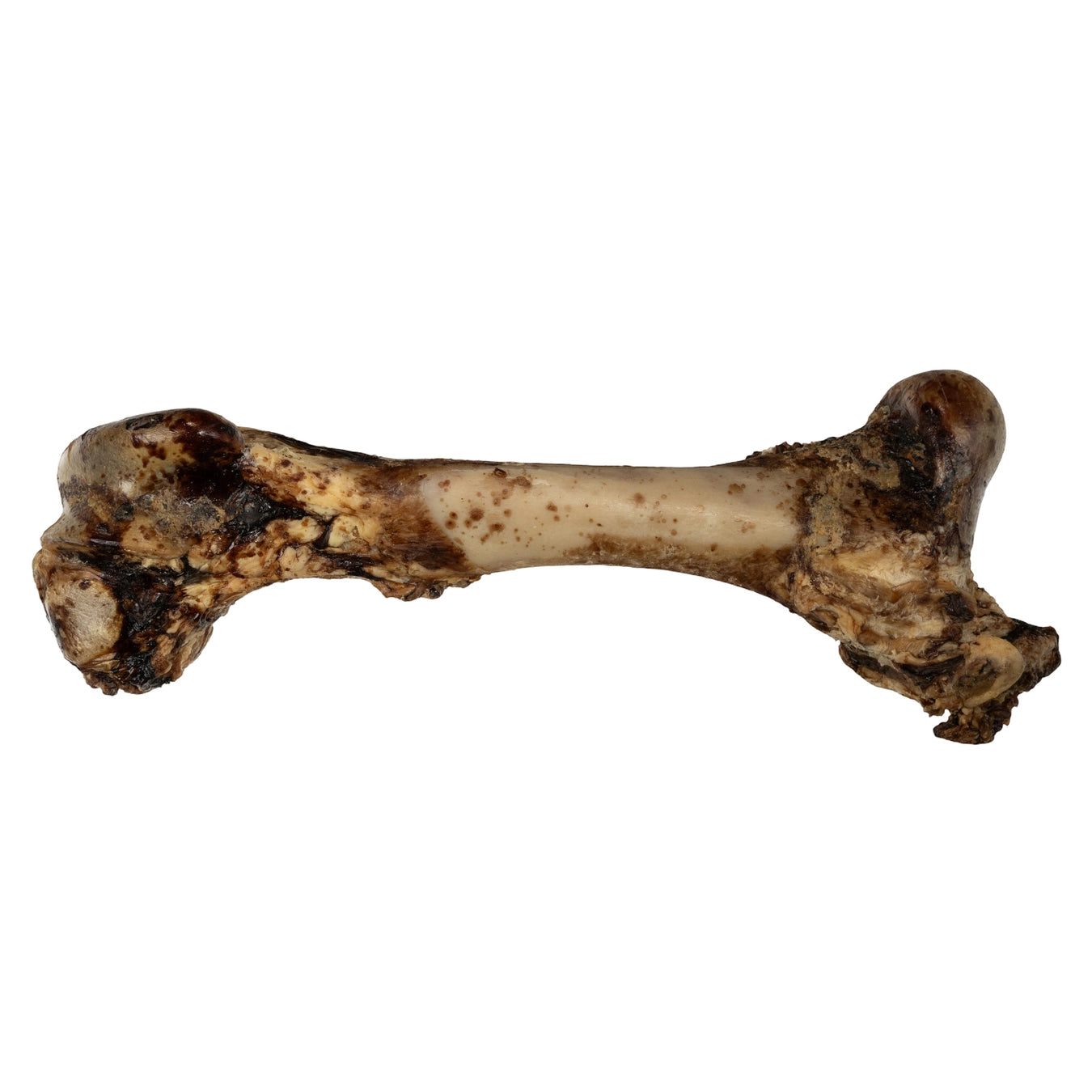 Whole Beef Femur Bone Dog Treat - Natural Long-Lasting Chew