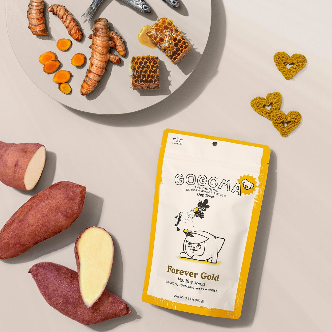Gogoma Turmeric + Anchovy Dog Treat For Mobility