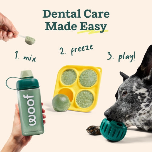 Woof Pupsicle Mix- Doggy Dental