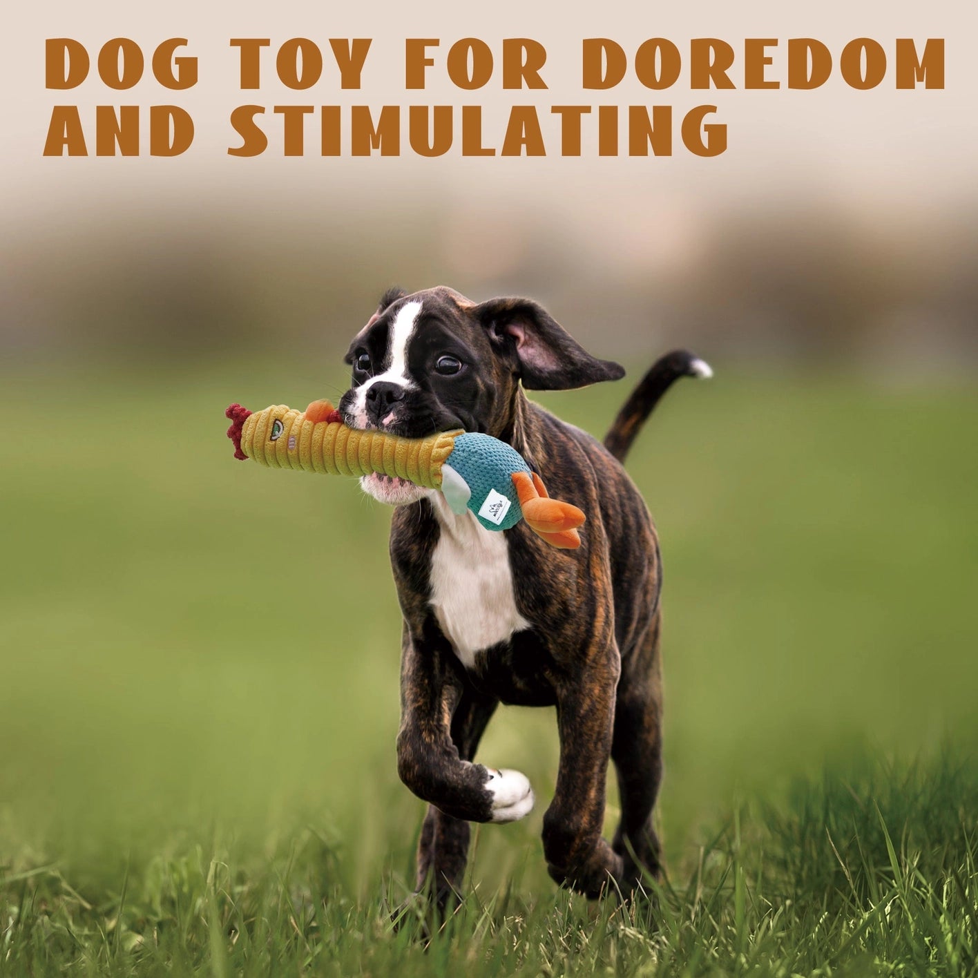 Nocciola 3 in 1 Chicken Rubber Dog Toy