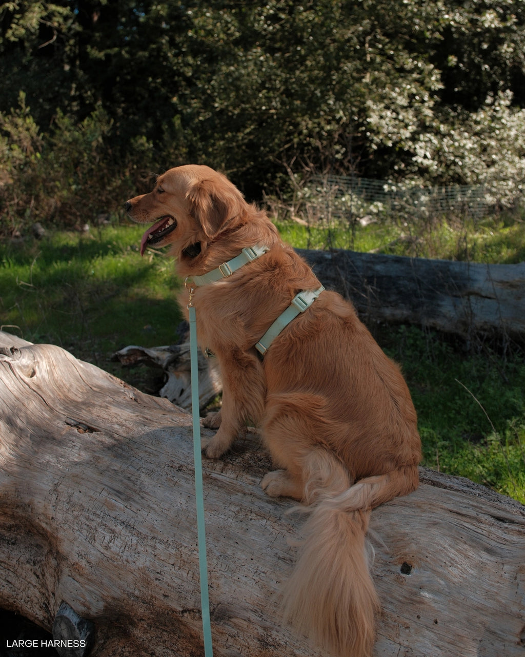 Sunny Tails Cloud Lite Harness