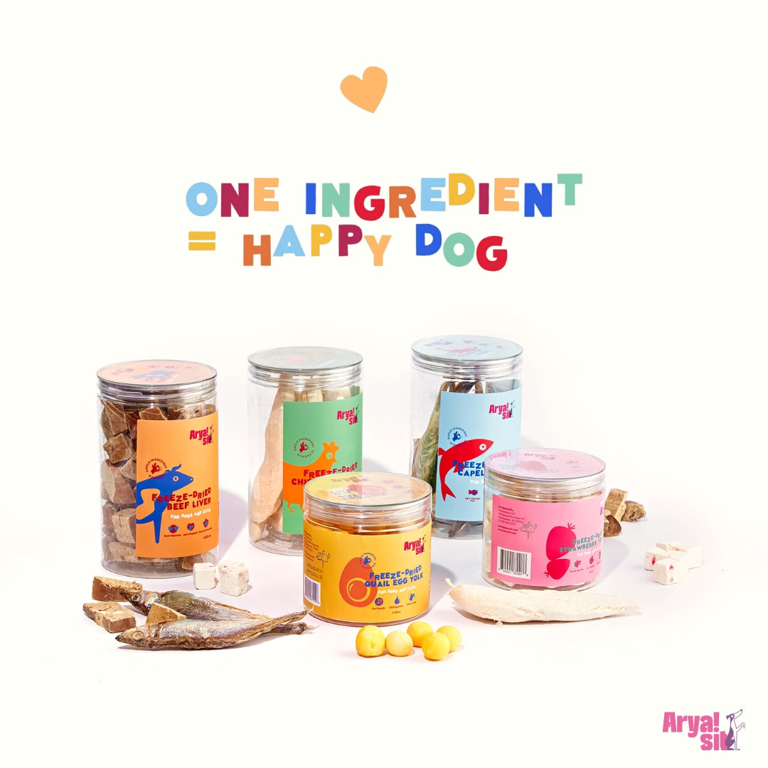 Arya Sit! Freeze Dried Pumpkin Yogurt