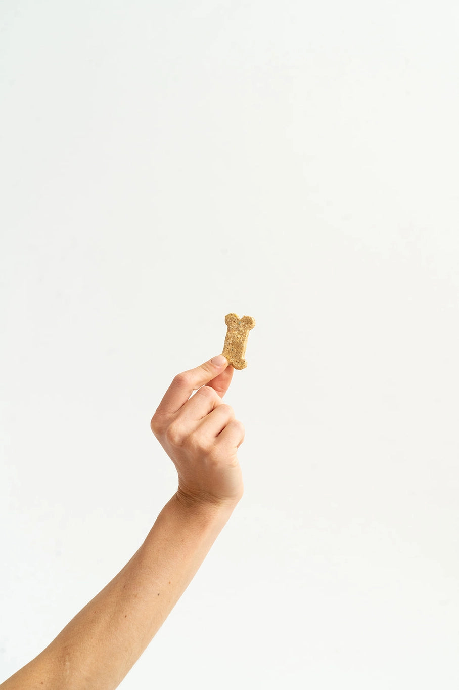 Winnie Lou Celebration Cookies