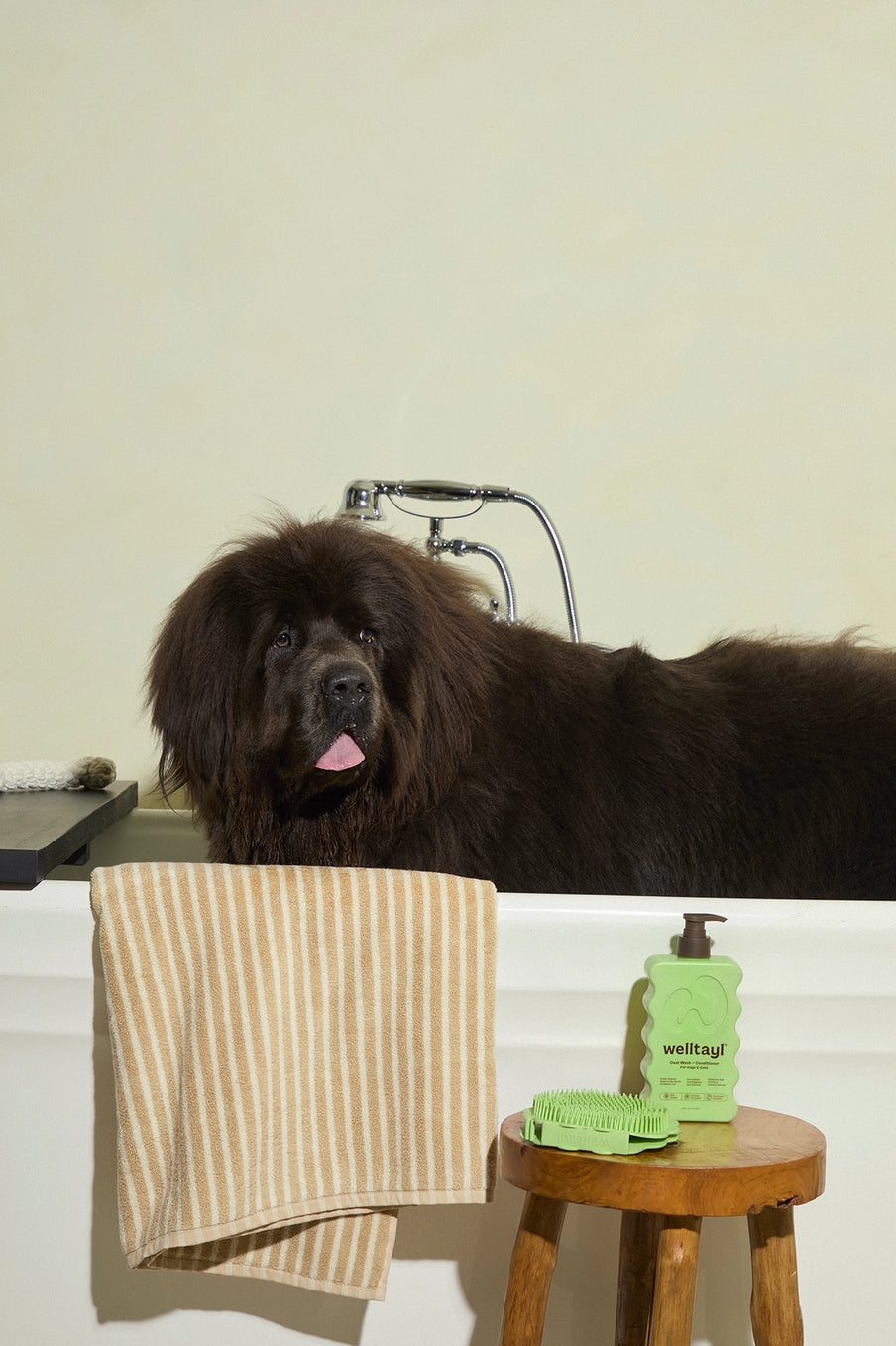 Welltayl Dog Coat Wash + Conditioner (Cat-Safe)