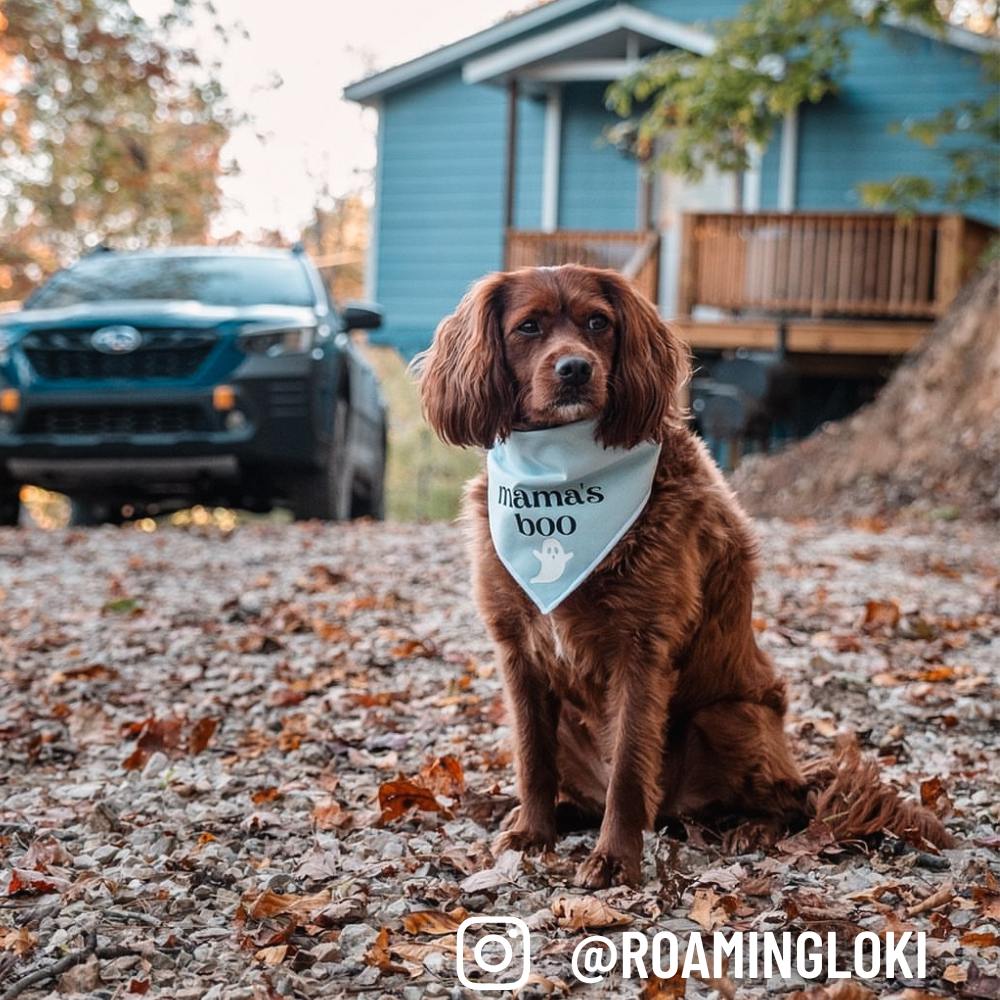 Boneyard Co "Mama's Boo" Dog Bandana