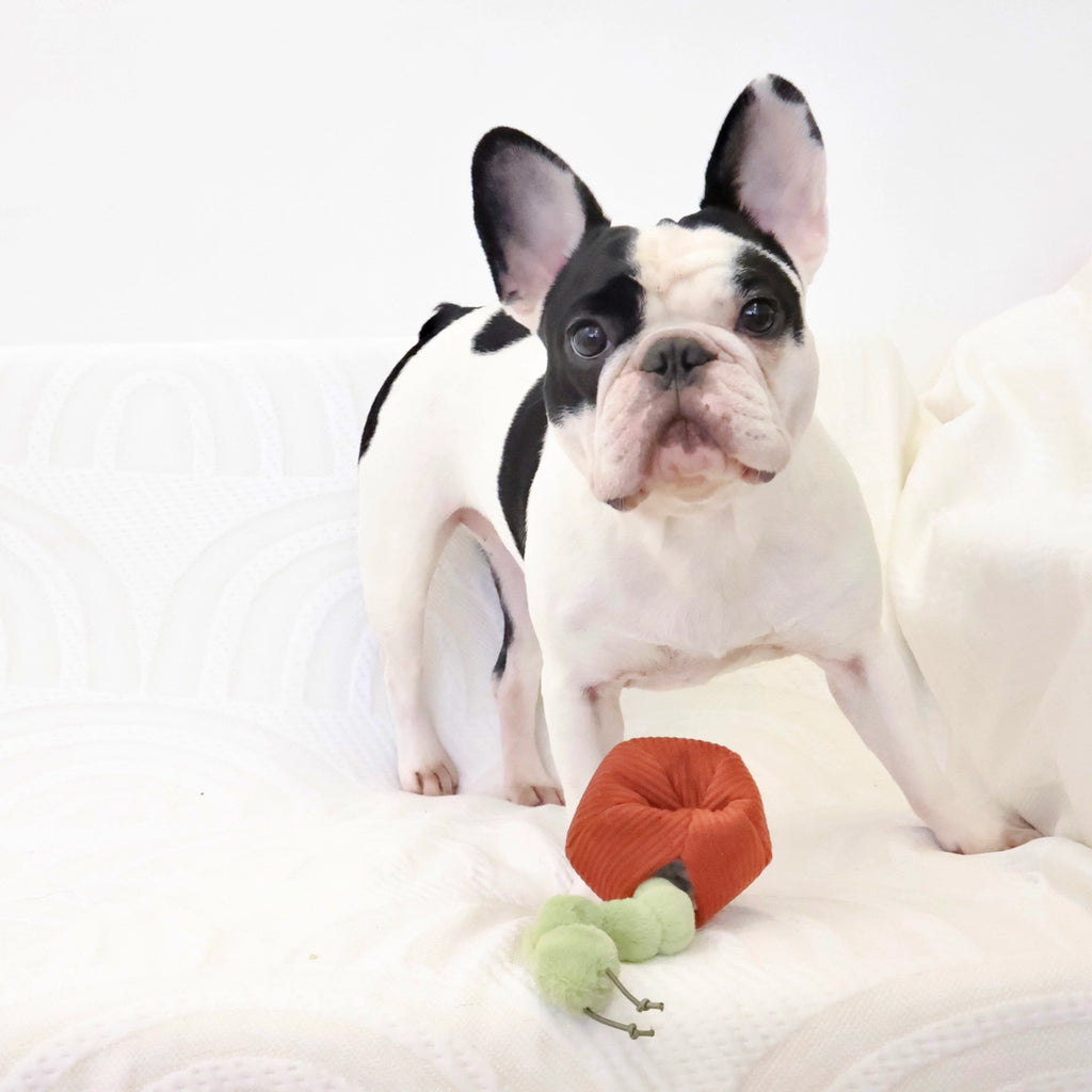 Lambwolf Collective Apple Enrichment Toy Set // Snuffle Toy