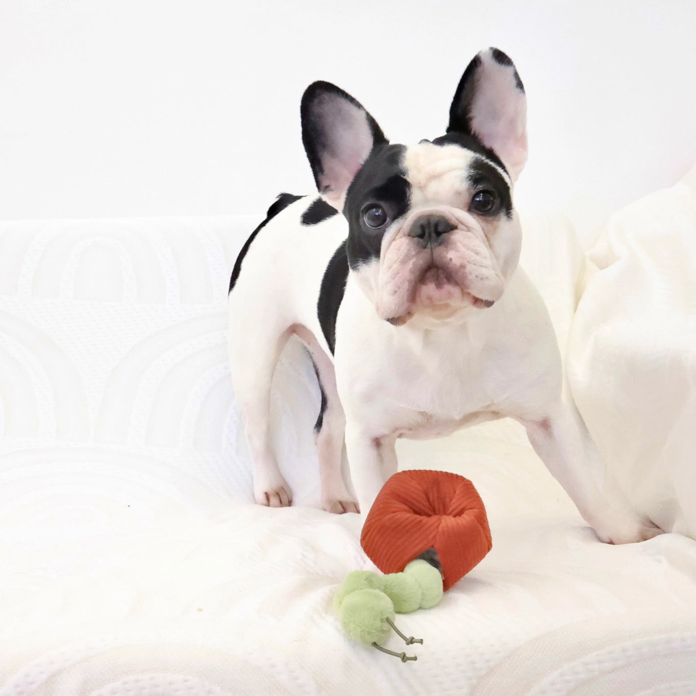 Lambwolf Collective Apple Enrichment Toy Set // Snuffle Toy