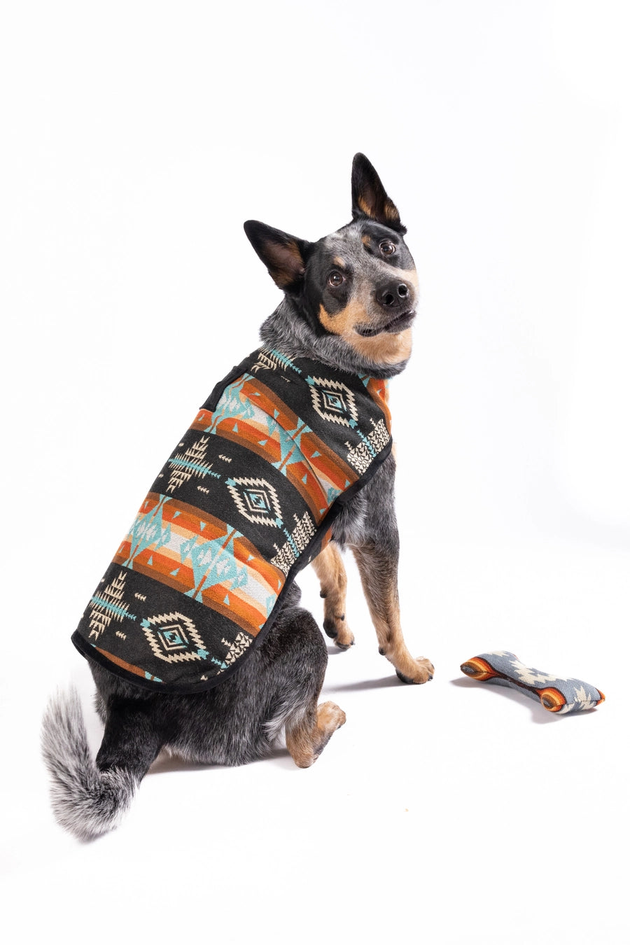 Chilly Dog Blanket Coat