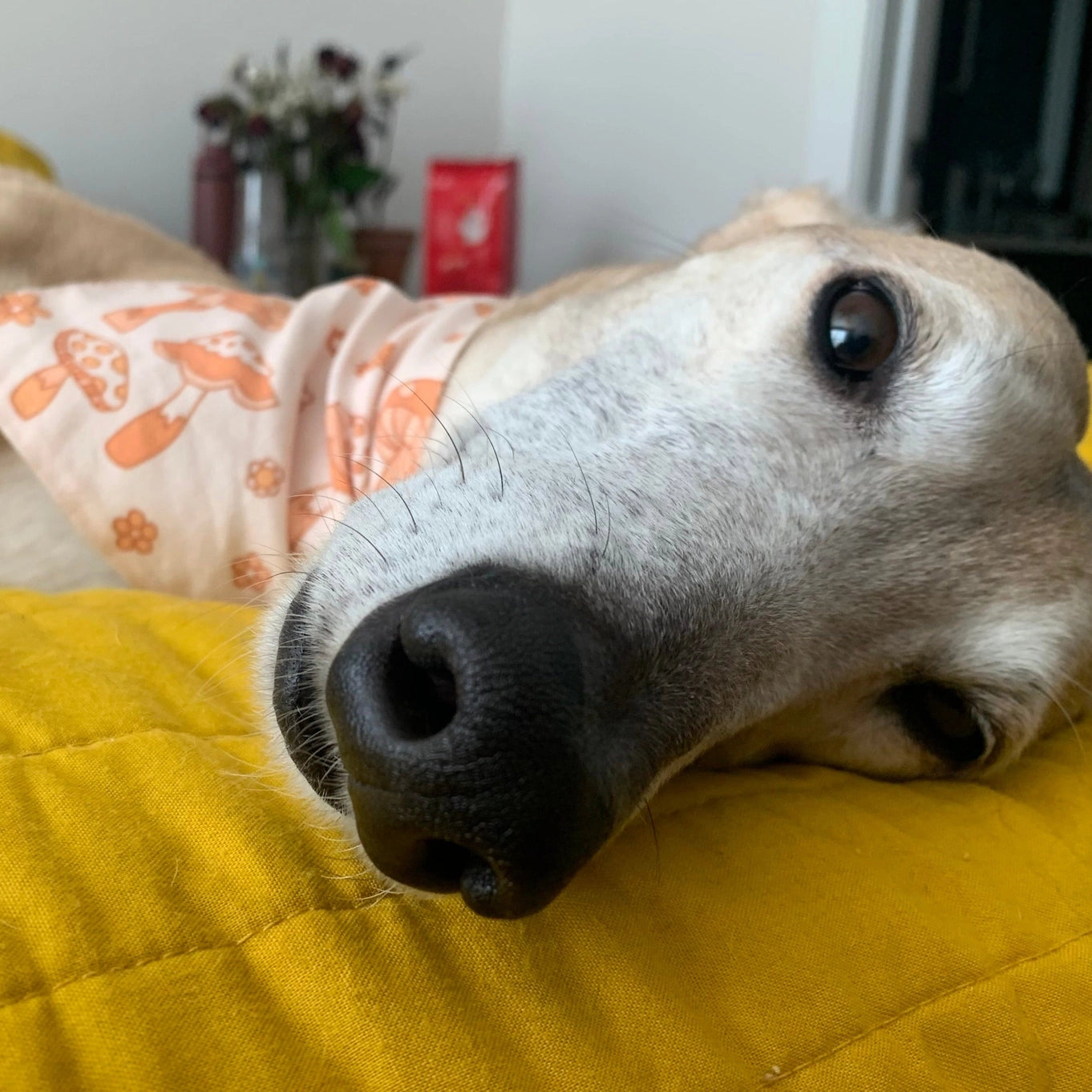 Lucy And Co. Floral and Fungi Bandana