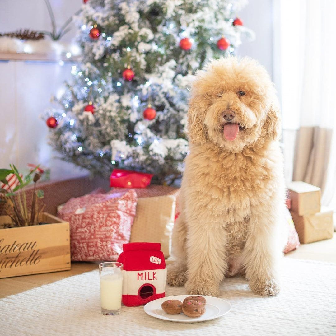 Holiday Zippy Burrow - Santa's Milk and Cookies