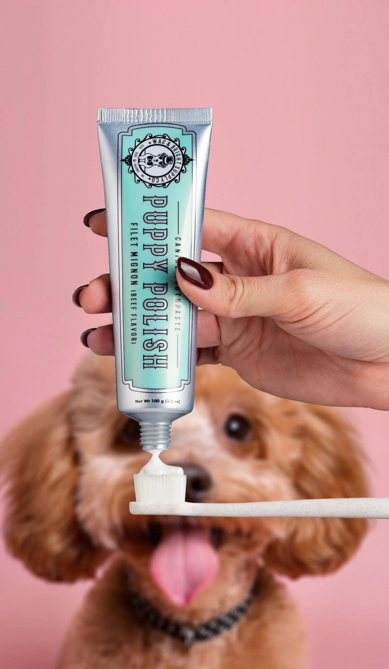 Wag And Bright Puppy Polisher Eco Toothbrush - (Medium)