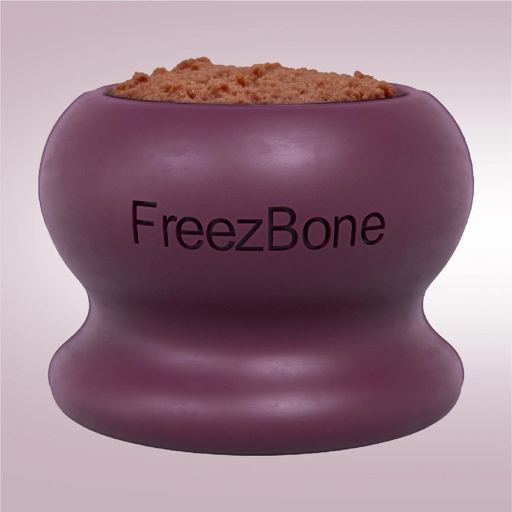 Freezball Fillable Enrichment Toy