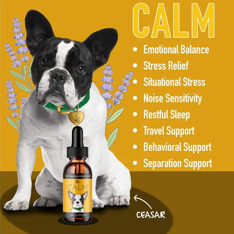 Mycodog CALM: Travel, Noise & Stress Support