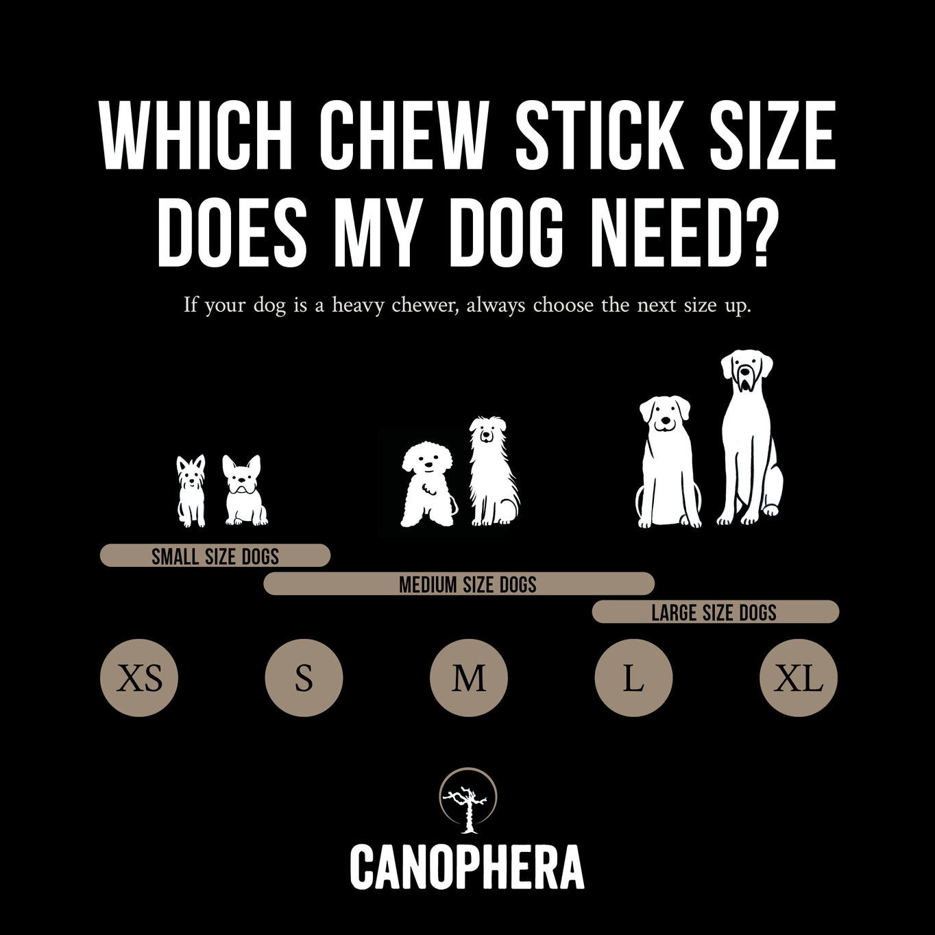 Canophera Sheep Horn Dog Chew