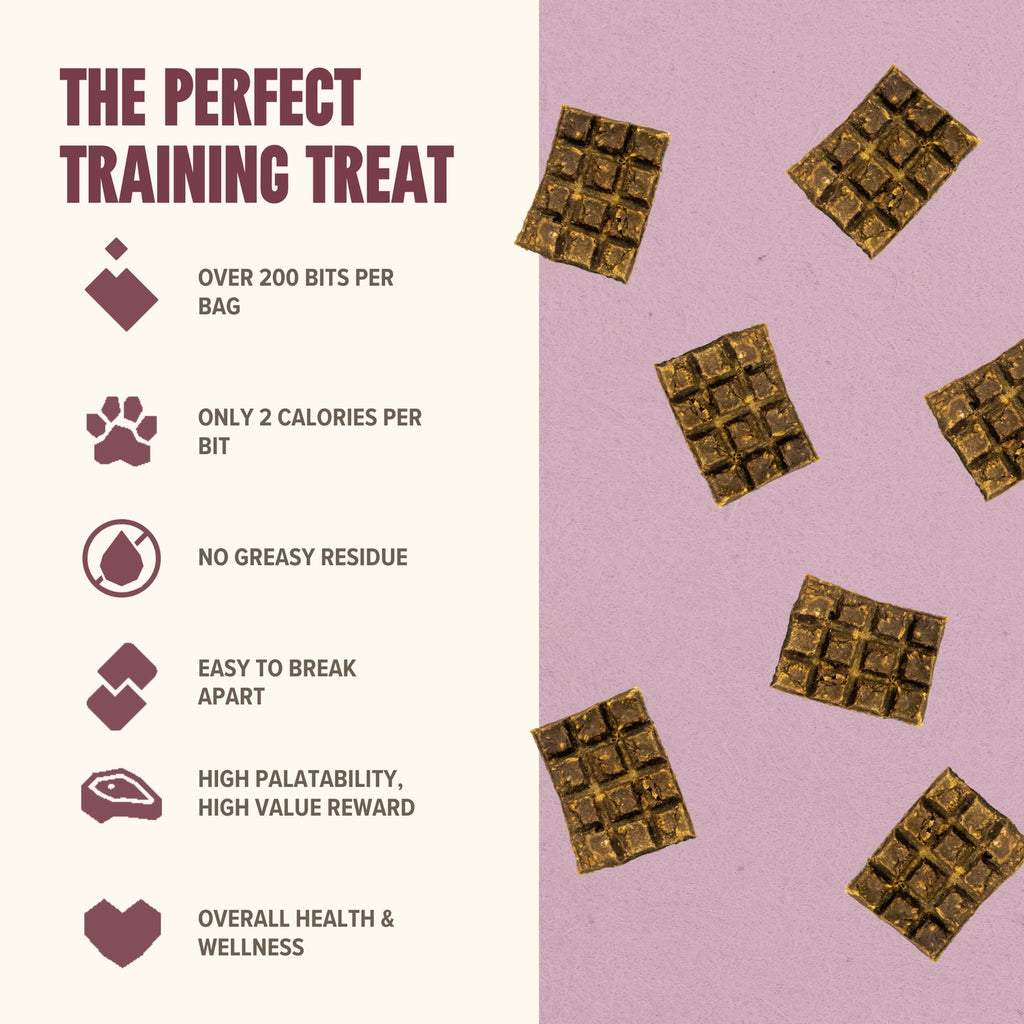 Ryōken Instinct Lamb Mini Training Treats For Dogs