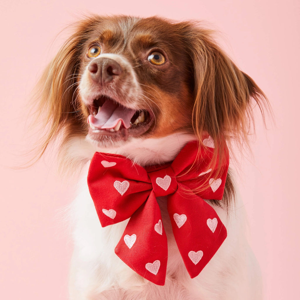 The Foggy Dog Hearts Embroidered Lady Dog Bow