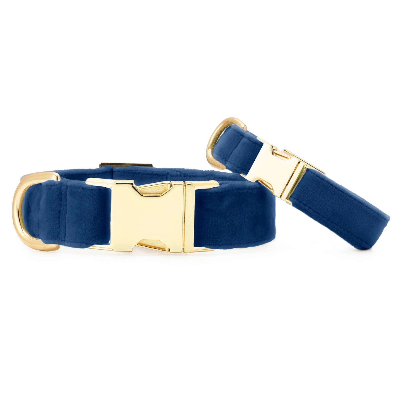 The Foggy Dog Velvet Collar