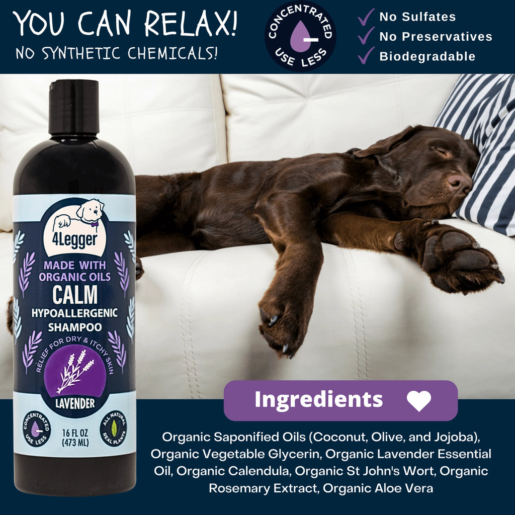 4-Legger Calm Organic Lavender Natural Dog Shampoo with Calendula