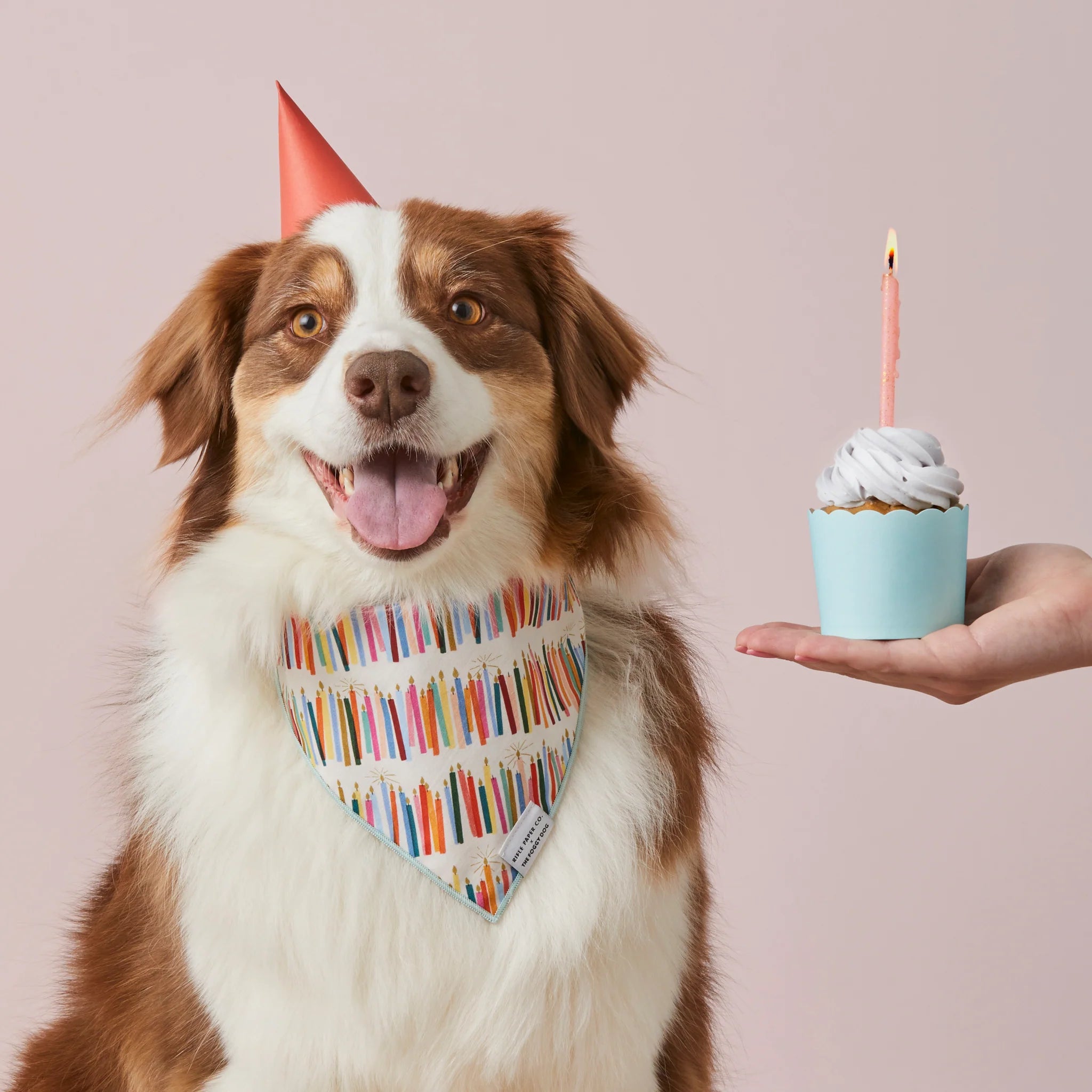 The Foggy Dog Rifle Paper Co. X TFD Birthday Candles Dog Bandana