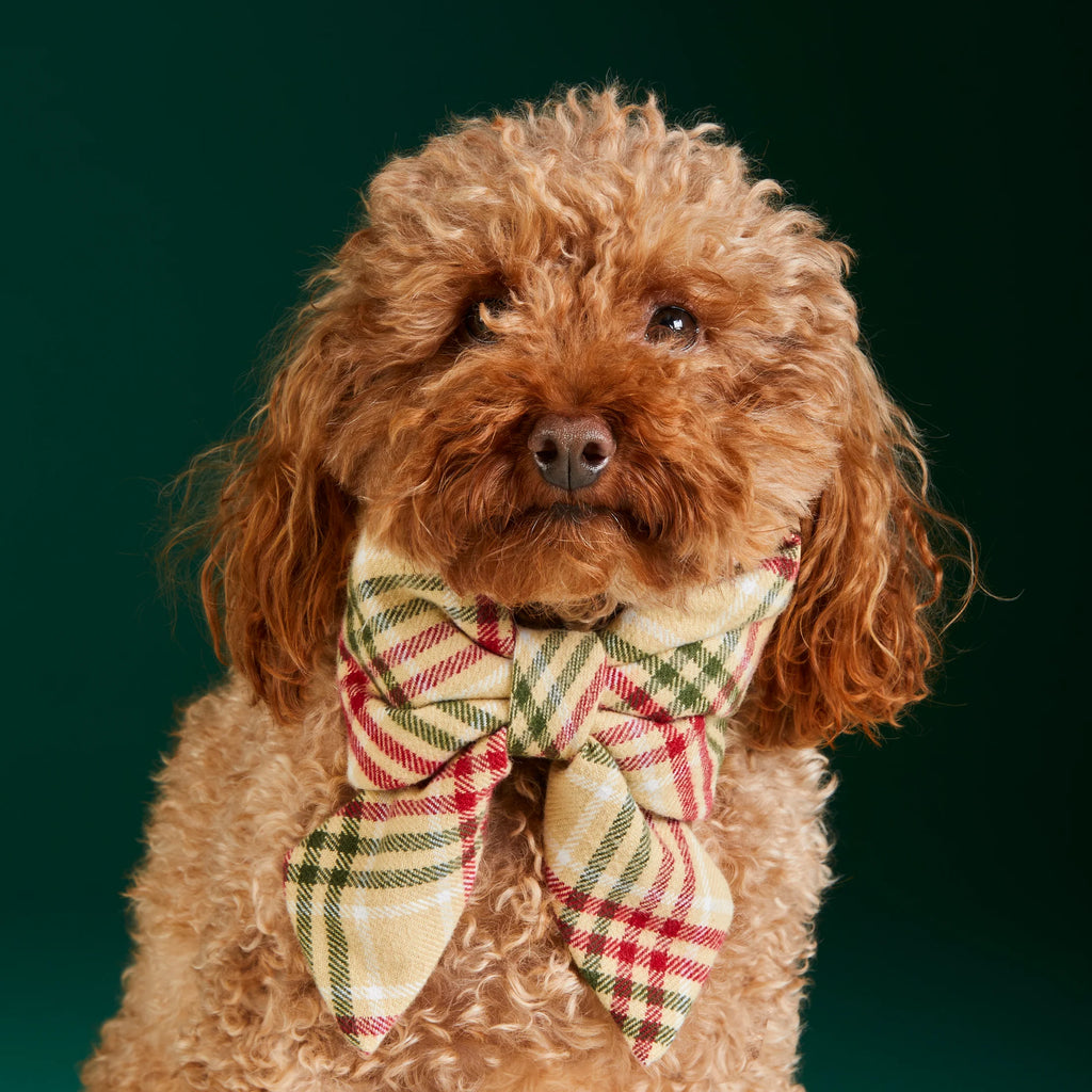 The Foggy Dog Eggnog Plaid Flannel Lady Dog Bow