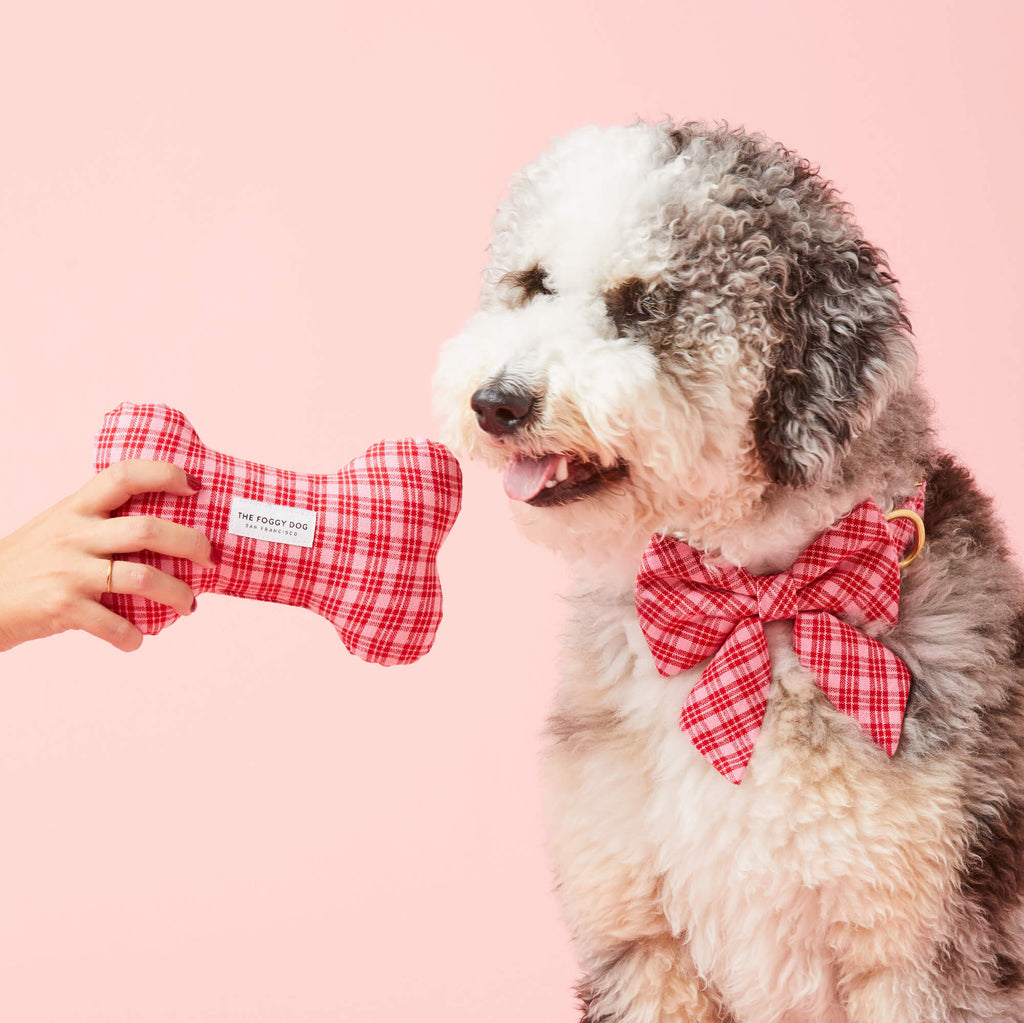 FTH x TFD Katherine Plaid Valentines Day Squeaky Toy